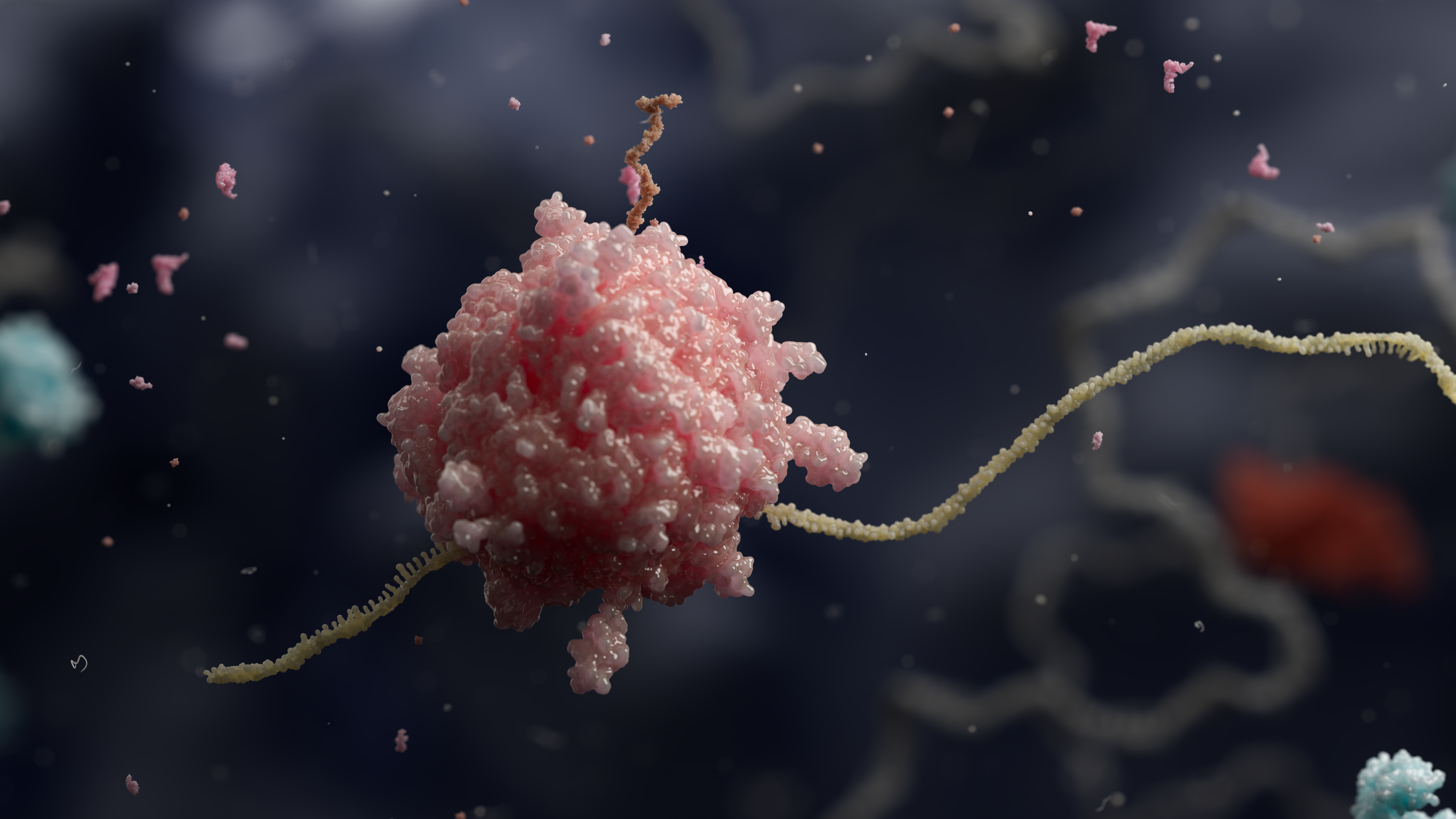 mRNA translation molecular visualization
